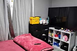 450 W 46th Pl, Chicago, IL 60609 - Photo 8