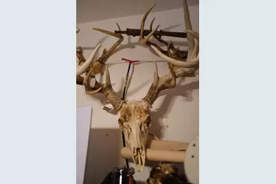 25065 Rock Springs Hollow Road, Thebes, IL 62990 - Photo 14