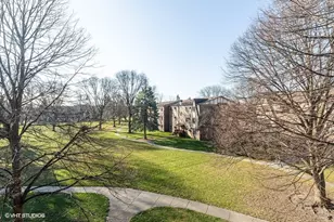 803 S Dwyer Ave, Arlington Heights, IL 60005 - Photo 10