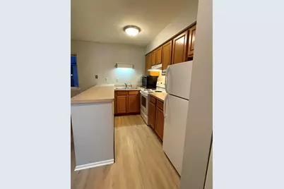 56 1/2 Main Street #3, Oswego, IL 60543 - Photo 2