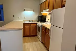 56 1/2 Main St, Oswego, IL 60543 - Photo 2