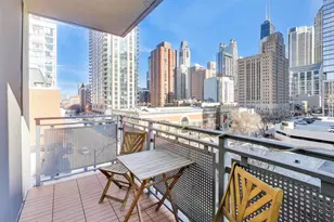 744 N Clark St, Chicago, IL 60654 - Photo 20