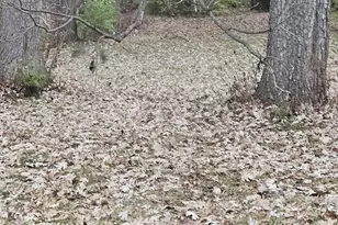 0N636 Sunset Ave, West Chicago, IL 60185 - Photo 1