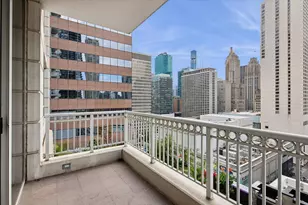 55 E Erie Ave, Chicago, IL 60611 - Photo 14