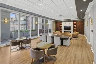 55 E Erie Ave, Chicago, IL 60611 - Photo 26