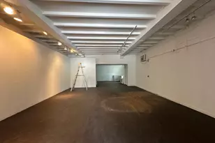 245 W North Ave, Chicago, IL 60610 - Photo 2