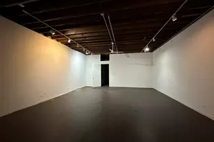 245 W North Ave, Chicago, IL 60610 - Photo 4