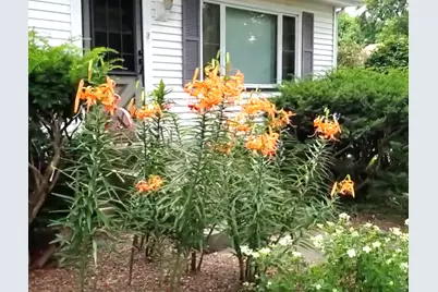 6S151 Old Eola Road, Eola, IL 60519 - Photo 12