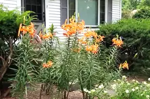 6S151 Old Eola Rd, Eola, IL 60519 - Photo 12