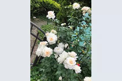 43W701 Willow Creek Drive, Elburn, IL 60119 - Photo 46