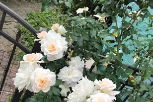 43W701 Willow Creek Dr, Elburn, IL 60119 - Photo 46