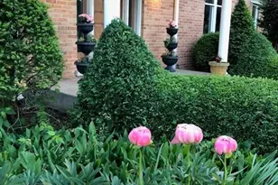 43W701 Willow Creek Dr, Elburn, IL 60119 - Photo 50