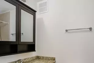 100 E Walton St, Chicago, IL 60611 - Photo 16