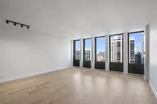 100 E Walton St, Chicago, IL 60611 - Photo 4