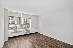 70 W Burton Pl, Chicago, IL 60610 - Photo 8