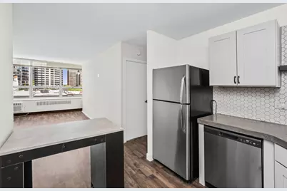70 W Burton Place #704F, Chicago, IL 60610 - Photo 4
