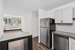 70 W Burton Pl, Chicago, IL 60610 - Photo 4
