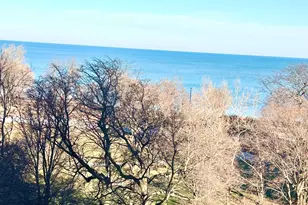 6701 S Crandon Ave, Chicago, IL 60649 - Photo 20