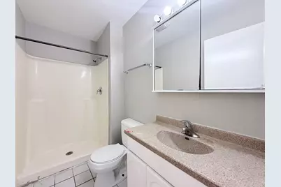 20137 Sequoia Avenue, Lynwood, IL 60411 - Photo 16