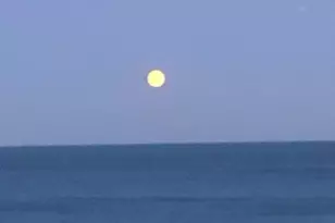 5901 N Sheridan Rd, Chicago, IL 60660 - Photo 14