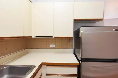 4501 N Malden Street #1D, Chicago, IL 60640 - Photo 4