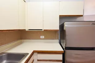 4501 N Malden St, Chicago, IL 60640 - Photo 4