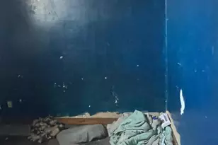 1507 W Marquette Rd, Chicago, IL 60636 - Photo 8