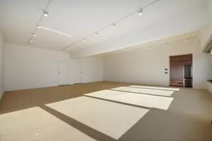 175 E Delaware Pl, Chicago, IL 60611 - Photo 26