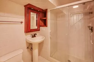 1115 N Ridgeland Ave, Oak Park, IL 60302 - Photo 28