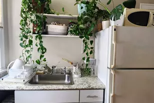 1919 W Berteau Ave, Chicago, IL 60613 - Photo 10