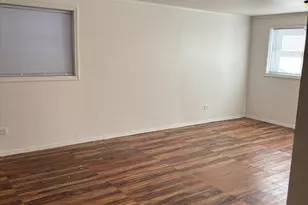 14208 S Lowe Ave, Riverdale, IL 60827 - Photo 4