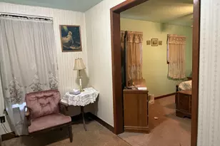 131 W Erie St, Spring Valley, IL 61362 - Photo 14