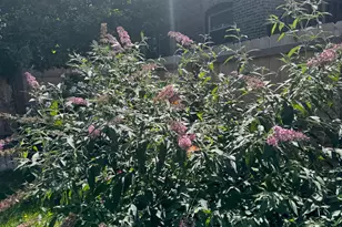 9604 S Hamilton Ave, Chicago, IL 60643 - Photo 34