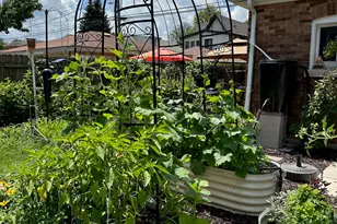 9604 S Hamilton Ave, Chicago, IL 60643 - Photo 38