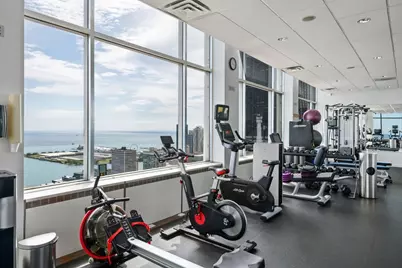 1000 N Lake Shore Plaza #12B, Chicago, IL 60611 - Photo 36