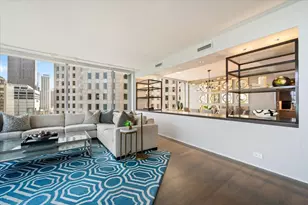 1000 N Lake Shore Plaza, Chicago, IL 60611 - Photo 16