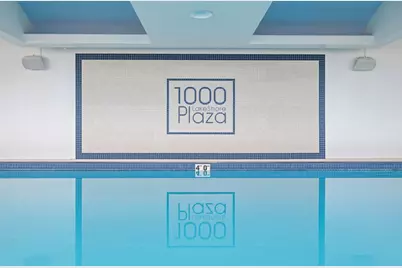 1000 N Lake Shore Plaza #12B, Chicago, IL 60611 - Photo 32