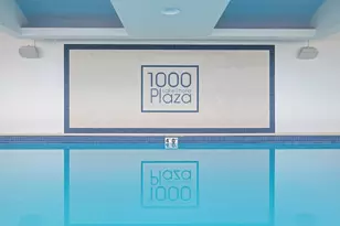 1000 N Lake Shore Plaza, Chicago, IL 60611 - Photo 32