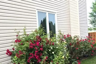 1616 Stanton Ln, Plainfield, IL 60586 - Photo 30