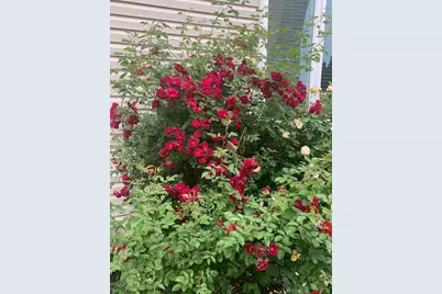 1616 Stanton Lane, Plainfield, IL 60586 - Photo 36