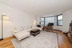 [Address not provided], Chicago, IL 60611 - Photo 4