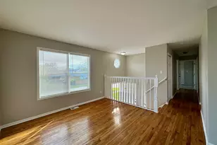 20513 S Acorn Ridge Dr, Frankfort, IL 60423 - Photo 4