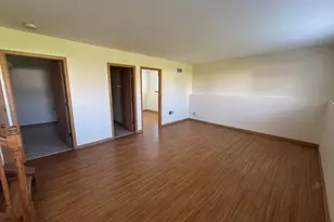 5320 Orchard Trail, Monee, IL 60449 - Photo 22