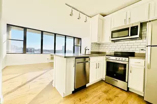 345 E Eastgate Pl, Chicago, IL 60616 - Photo 4