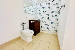 345 E Eastgate Pl, Chicago, IL 60616 - Photo 12