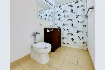 345 E Eastgate Place #604, Chicago, IL 60616 - Photo 4