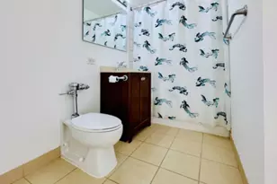 345 E Eastgate Pl, Chicago, IL 60616 - Photo 4
