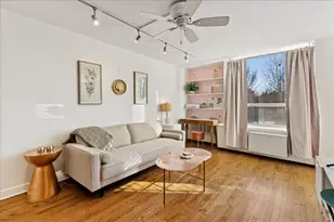 1355 N Sandburg Terrace, Chicago, IL 60610 - Photo 8