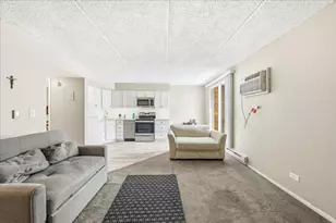 255 S West Ave S, Elmhurst, IL 60126 - Photo 8