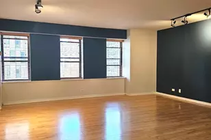 40 E 9th St, Chicago, IL 60605 - Photo 8